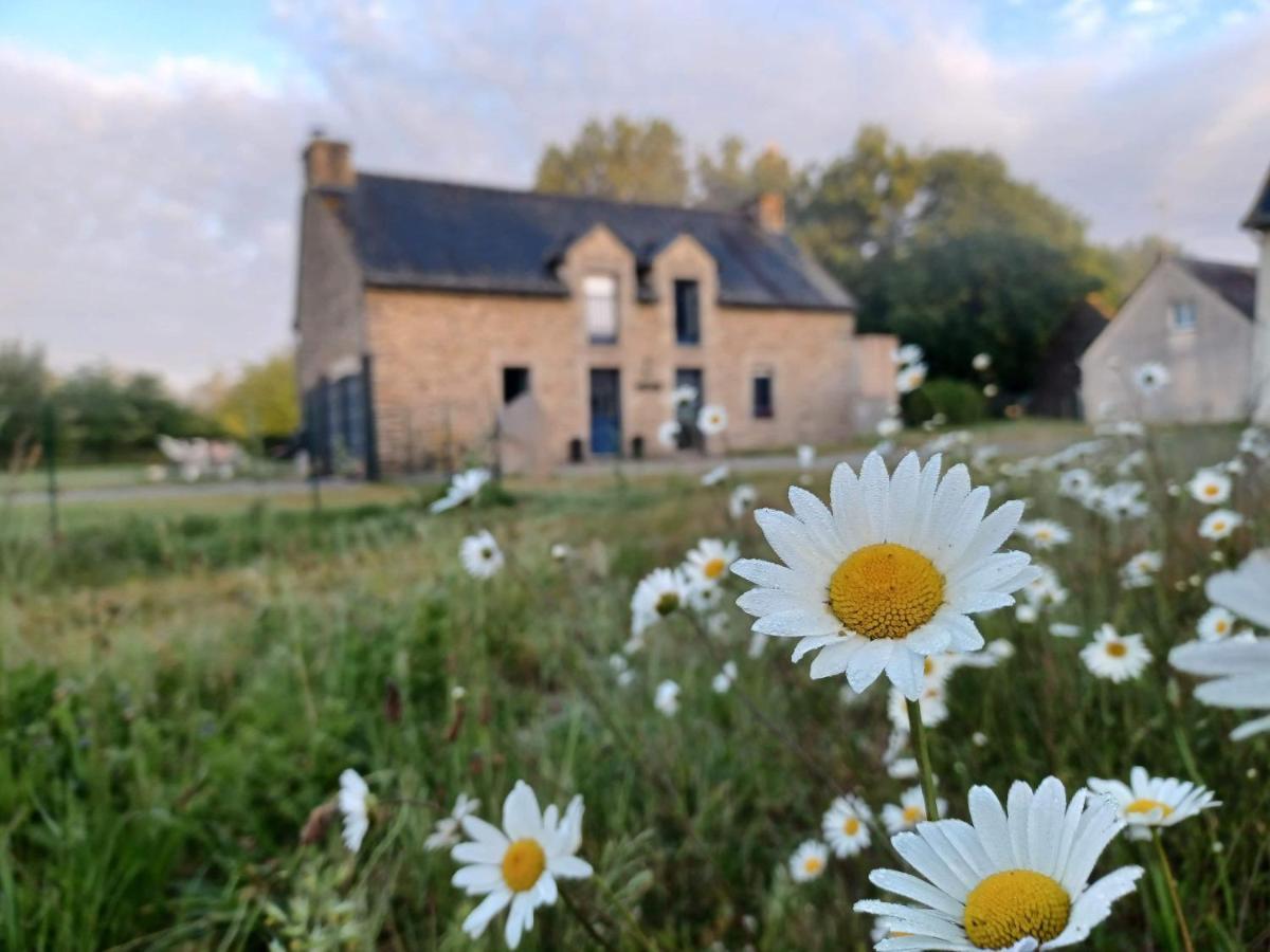 Bed and Breakfast Au Petit Bonheur De Claire Et Jo La Chapelle-Caro Екстер'єр фото